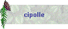 Cipolle